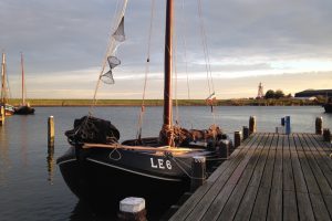 LE 6