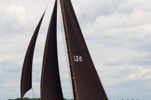 LE 6